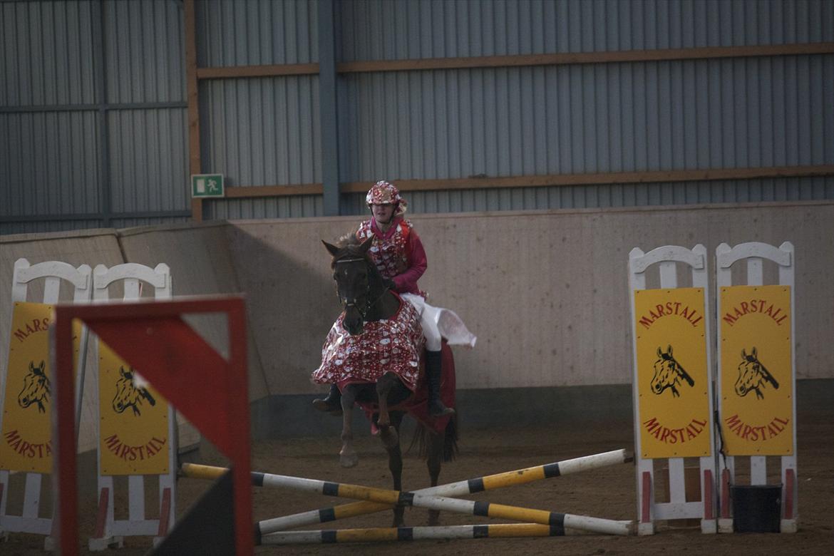 Julestævne på Herning rideskole billede 14
