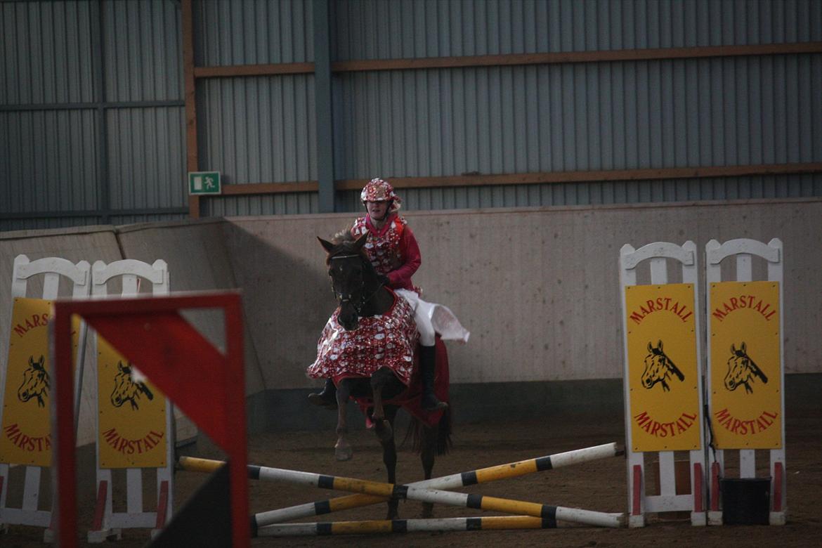 Julestævne på Herning rideskole billede 15