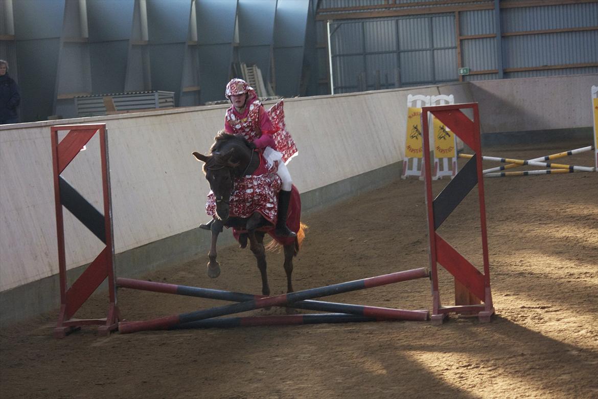 Julestævne på Herning rideskole billede 16