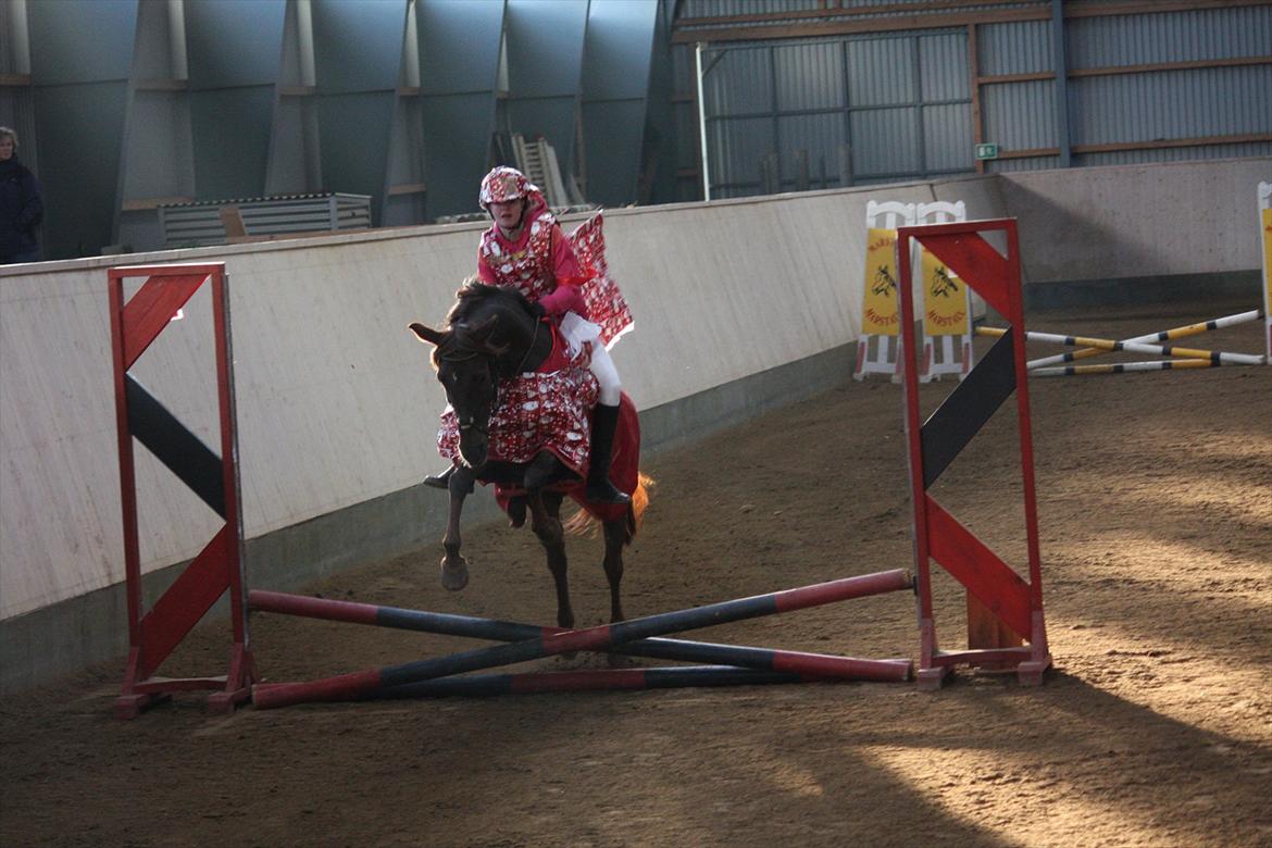Julestævne på Herning rideskole billede 17