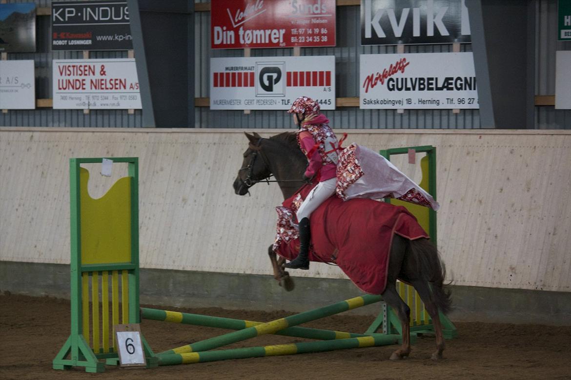 Julestævne på Herning rideskole billede 18