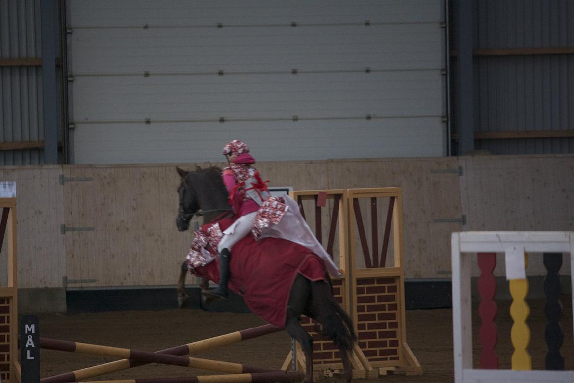 Julestævne på Herning rideskole billede 20