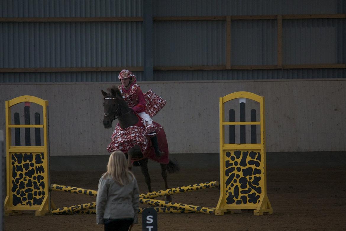 Julestævne på Herning rideskole billede 22
