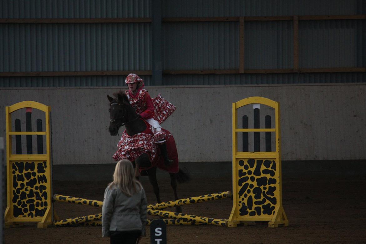 Julestævne på Herning rideskole billede 23