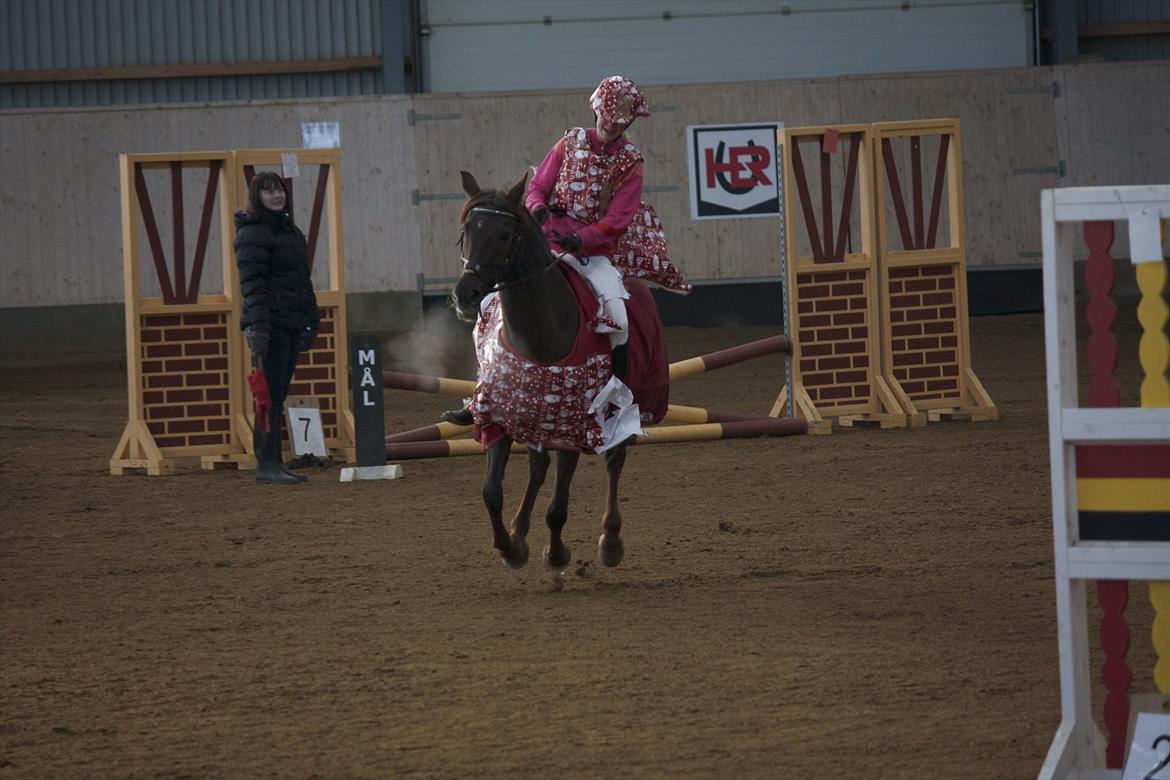 Julestævne på Herning rideskole billede 24