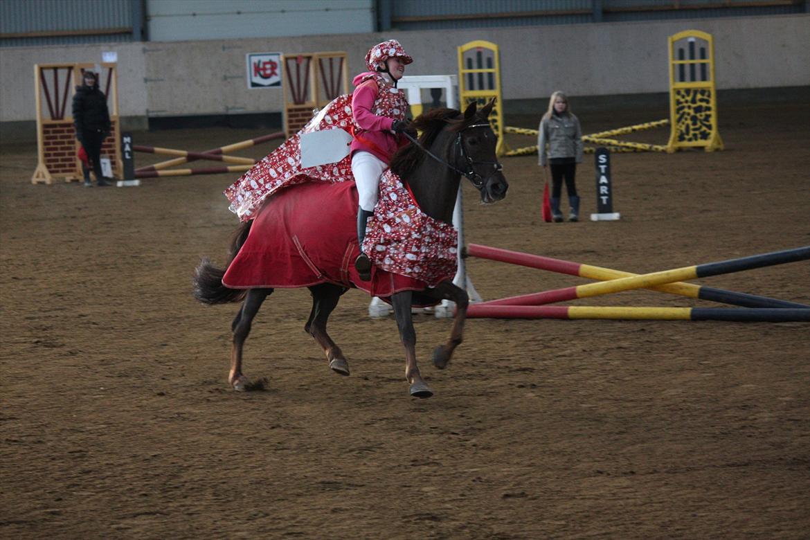 Julestævne på Herning rideskole billede 29