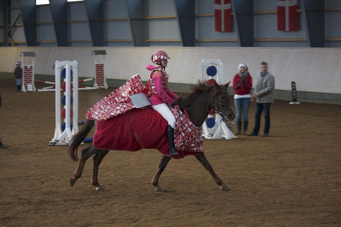 Julestævne på Herning rideskole billede 30