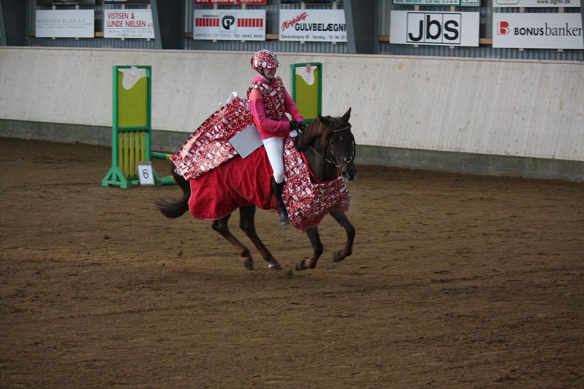 Julestævne på Herning rideskole billede 33