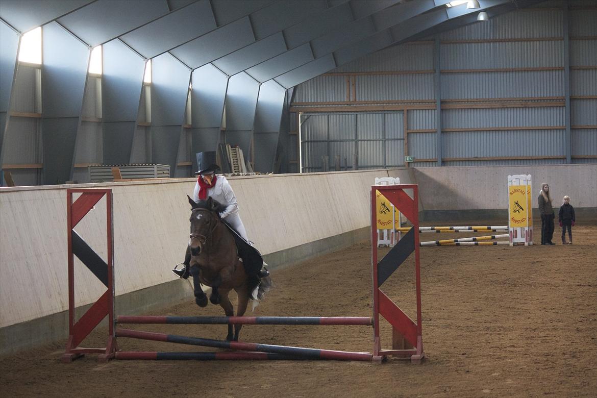 Julestævne på Herning rideskole billede 38