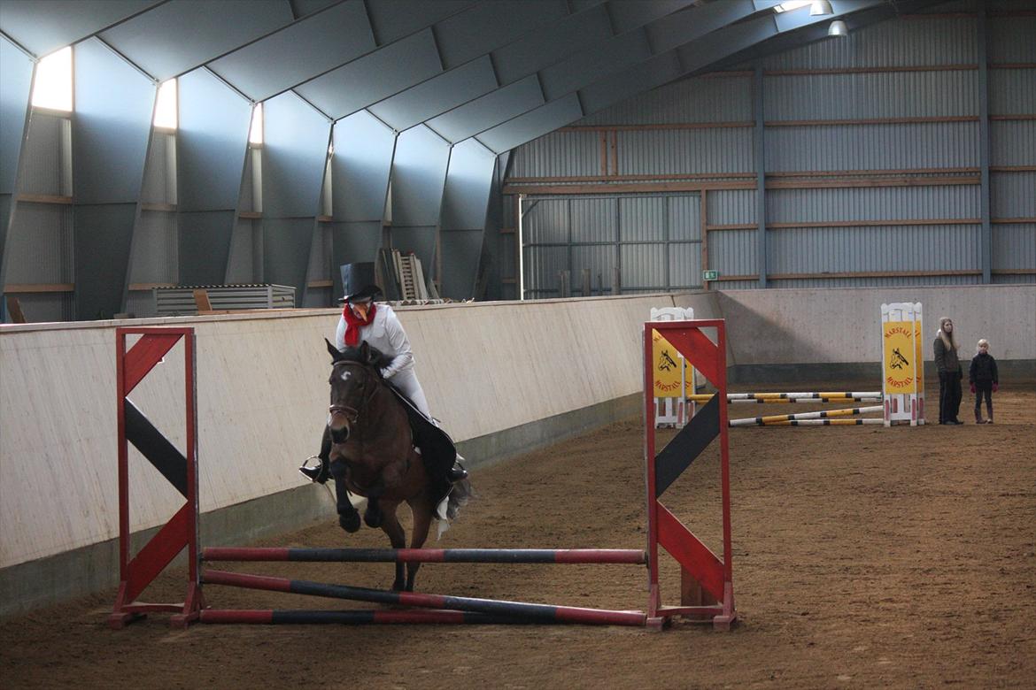 Julestævne på Herning rideskole billede 39