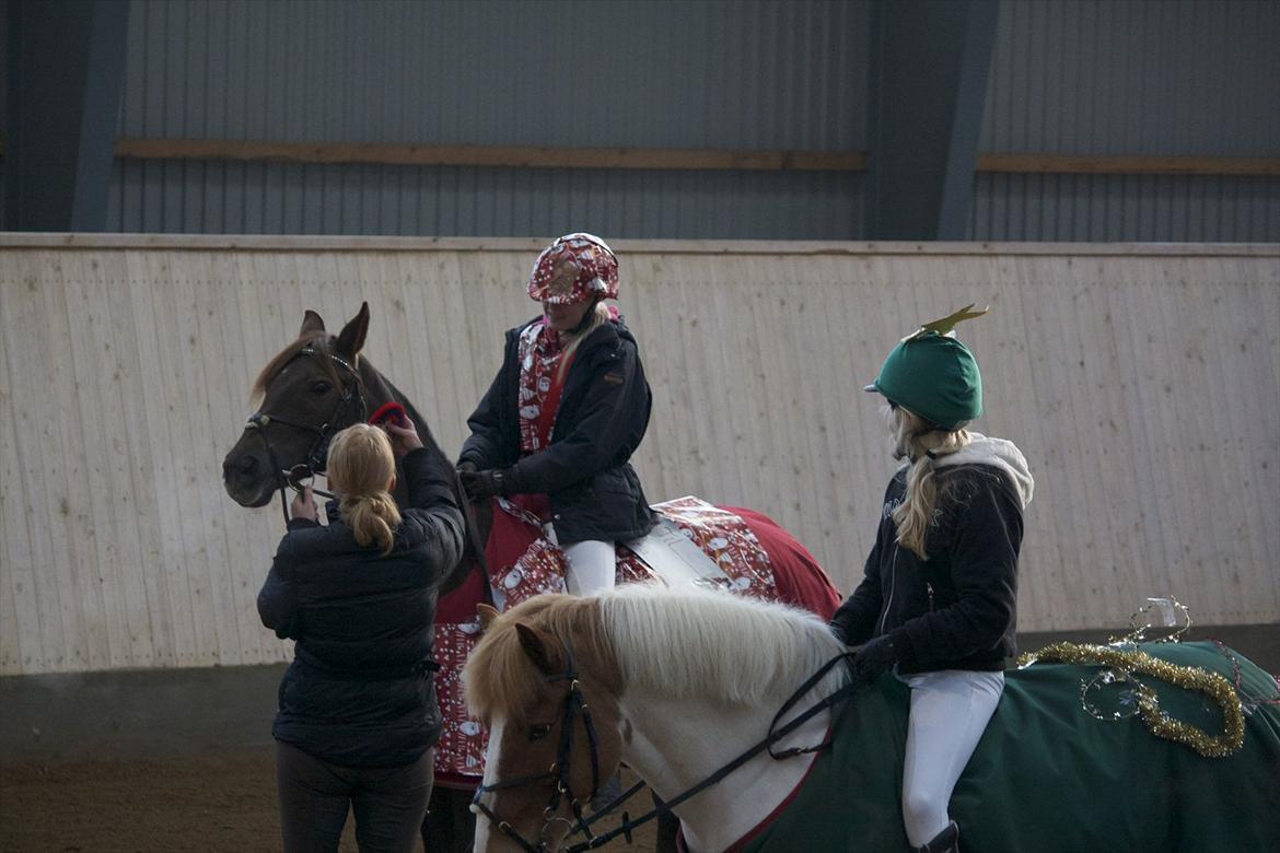 Julestævne på Herning rideskole billede 50