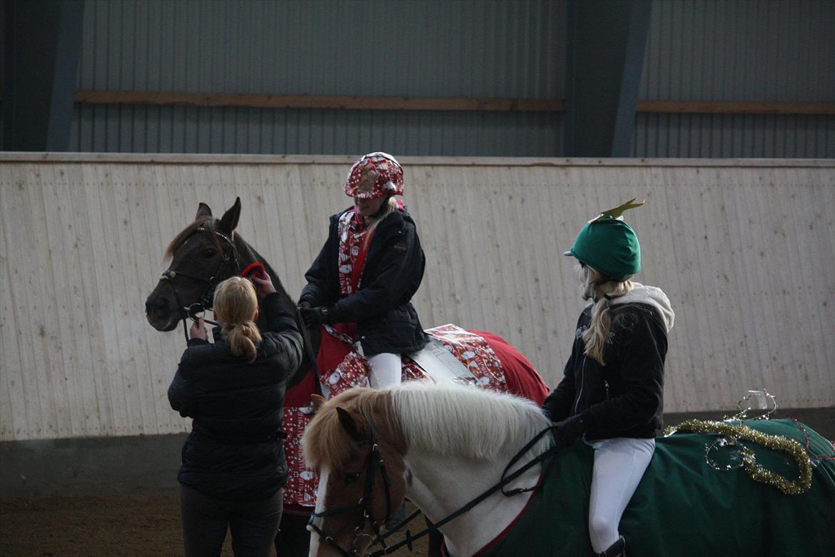 Julestævne på Herning rideskole billede 51