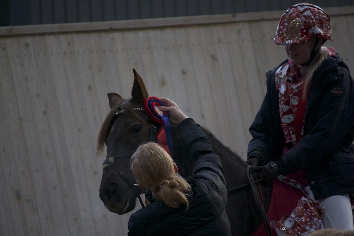 Julestævne på Herning rideskole billede 52