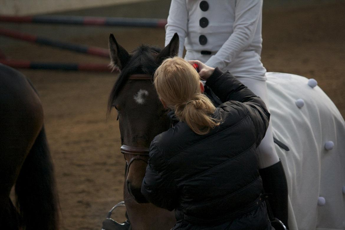 Julestævne på Herning rideskole billede 60