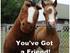 Sjove,søde,miniature heste :)