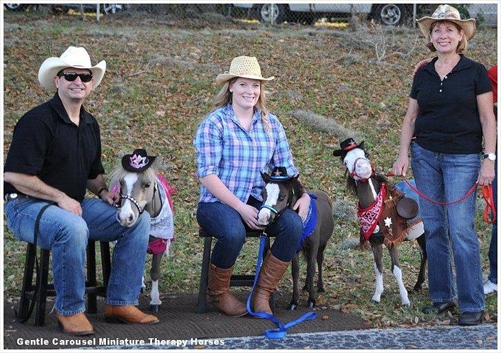 Sjove,søde,miniature heste :) billede 4