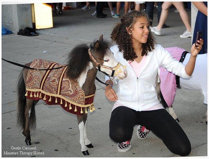 Sjove,søde,miniature heste :) billede 10