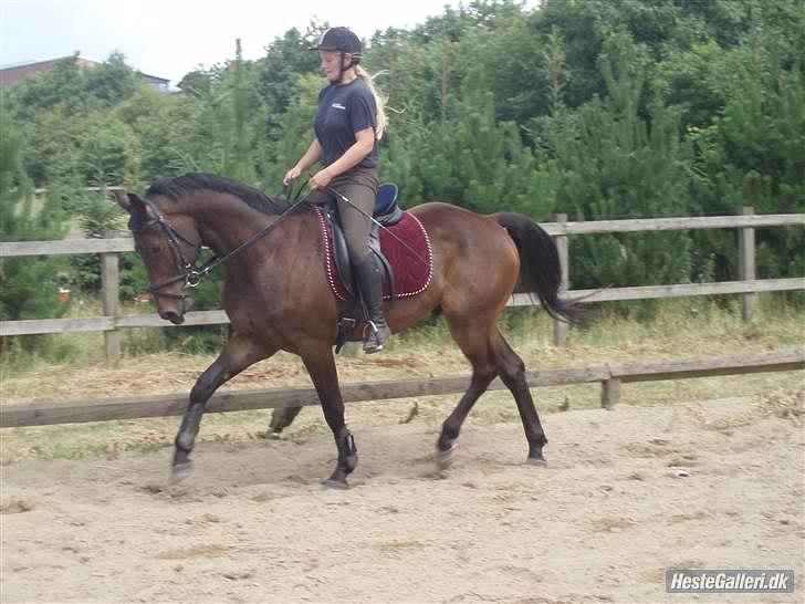 Gustav da han var baby hest :p billede 5