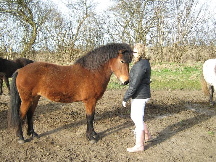 {{currentPhoto.altText}} billede {{currentPhoto.number}}