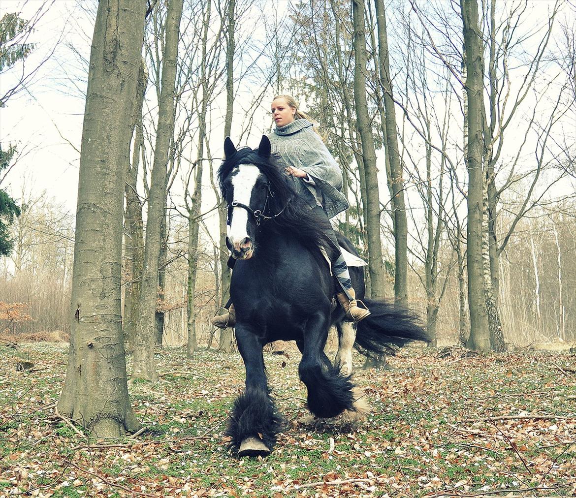 Lady Giga of Ireland billede 2