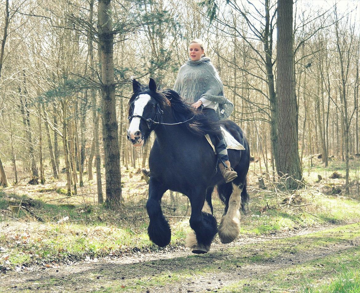 Lady Giga of Ireland billede 6