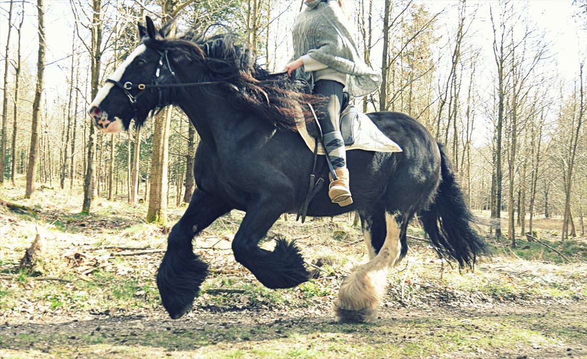 Lady Giga of Ireland billede 7