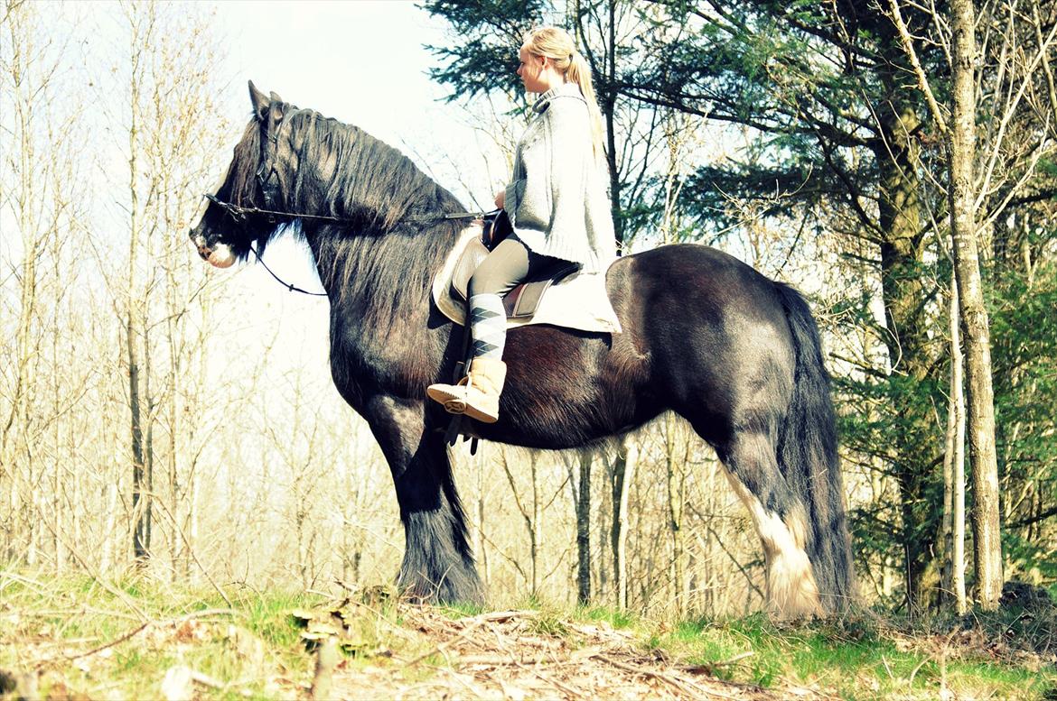 Lady Giga of Ireland billede 9
