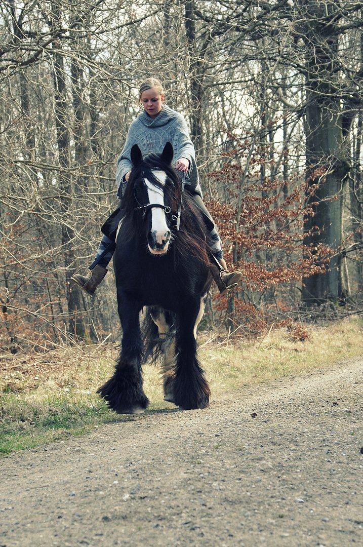 Lady Giga of Ireland billede 10