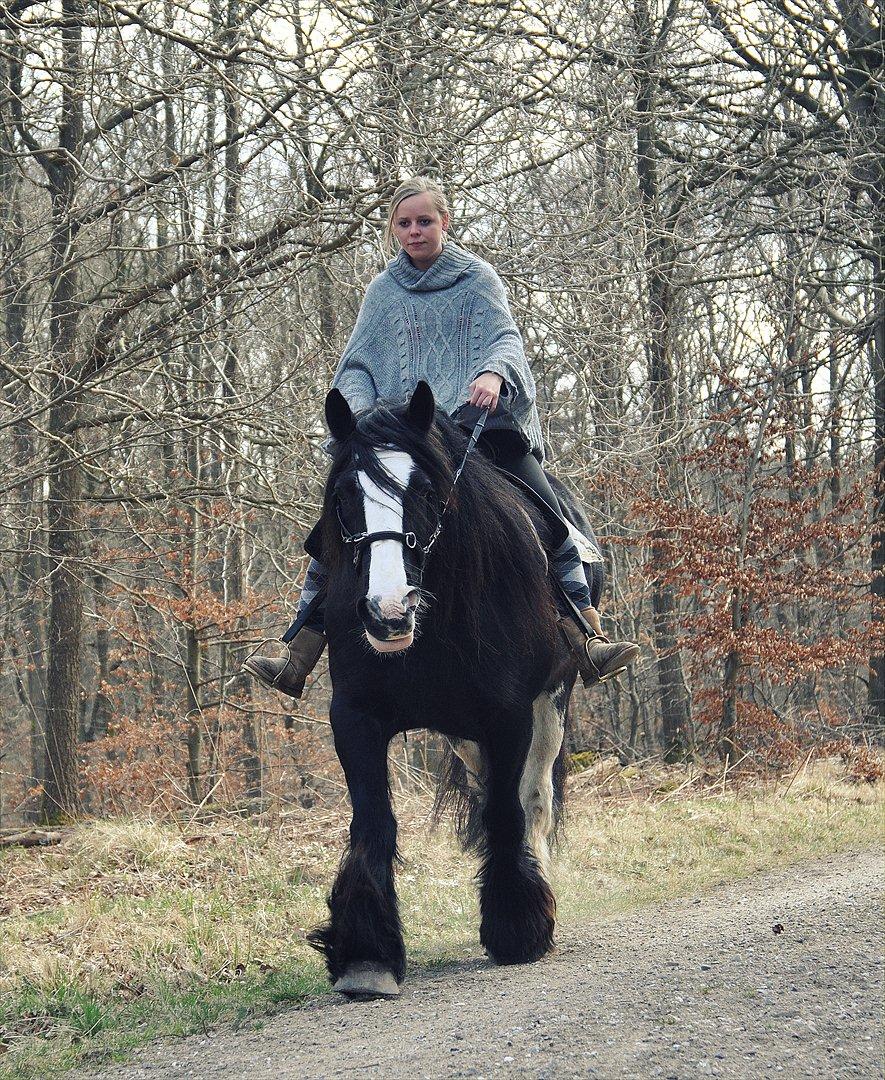 Lady Giga of Ireland billede 11
