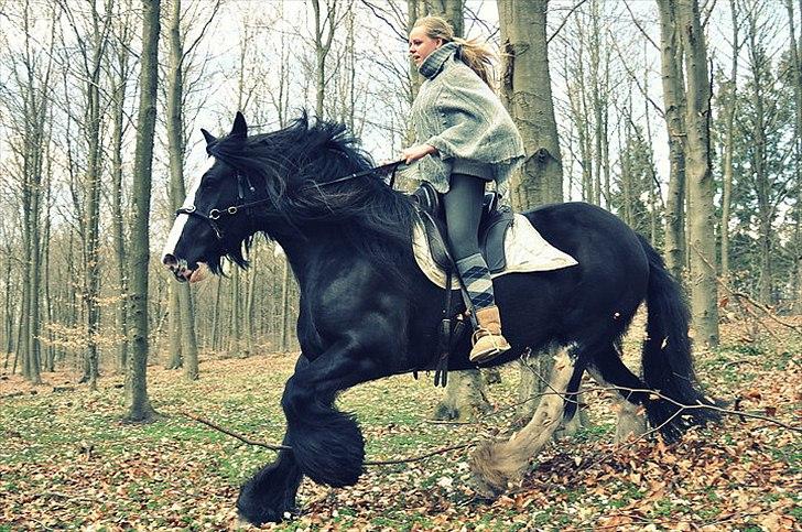 Lady Giga of Ireland billede 1