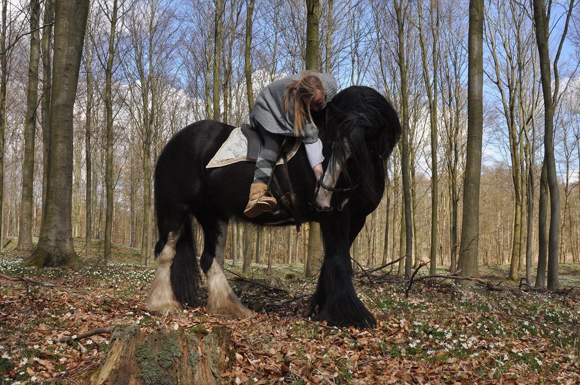Lady Giga of Ireland billede 14