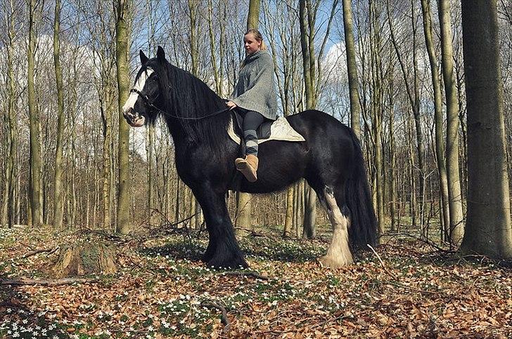 Lady Giga of Ireland billede 18