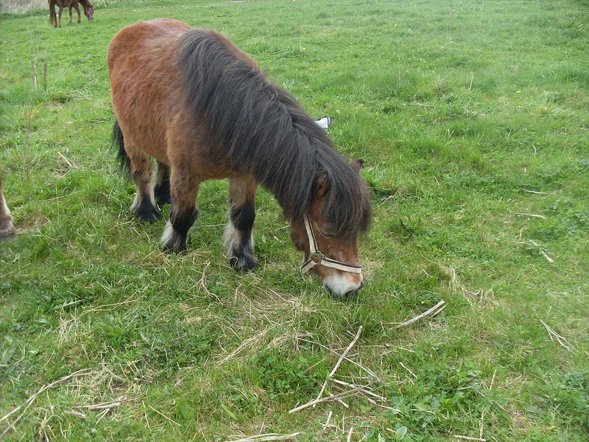 knold og tot (Prins og Casper) billede 10