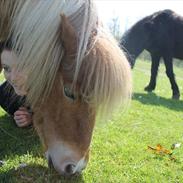Solskinsdag med Alfidrengen:D