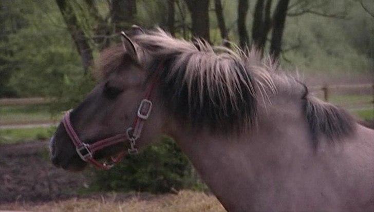 [Camilla Stormont] Perle på TV3's "Far Mor og Berømt" billede 1