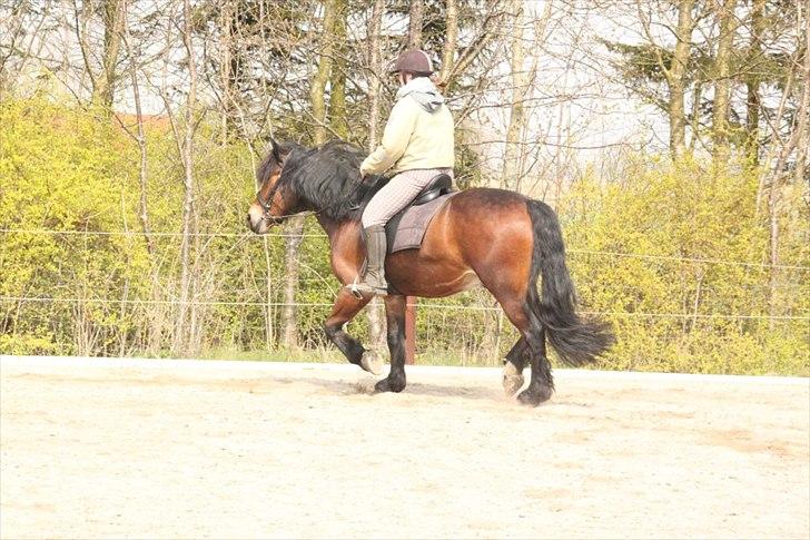 Kursus med BBH instruktør.  billede 2