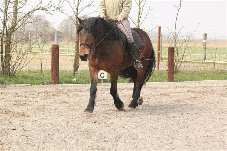 Kursus med BBH instruktør.  billede 3