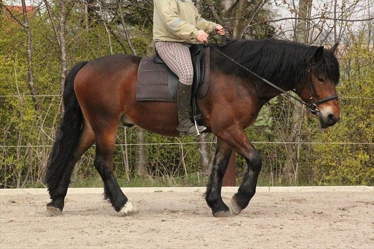 Kursus med BBH instruktør.  billede 4