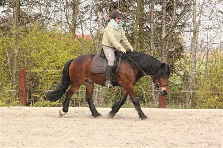 Kursus med BBH instruktør.  billede 5