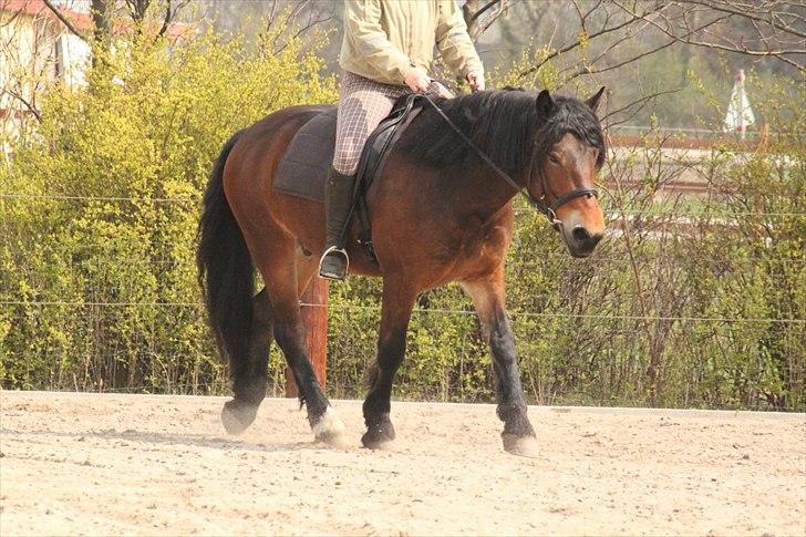 Kursus med BBH instruktør.  billede 6