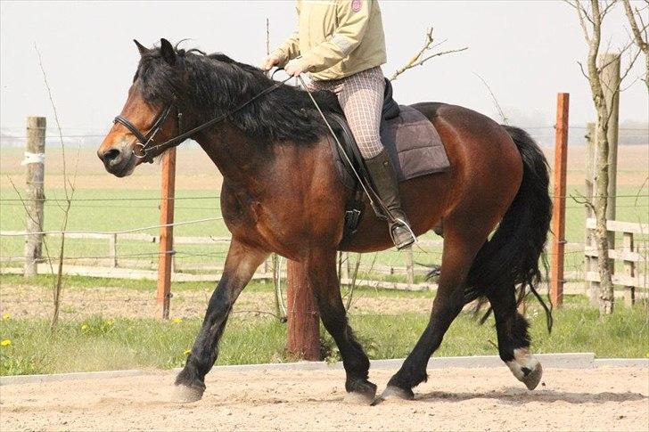 Kursus med BBH instruktør.  billede 8