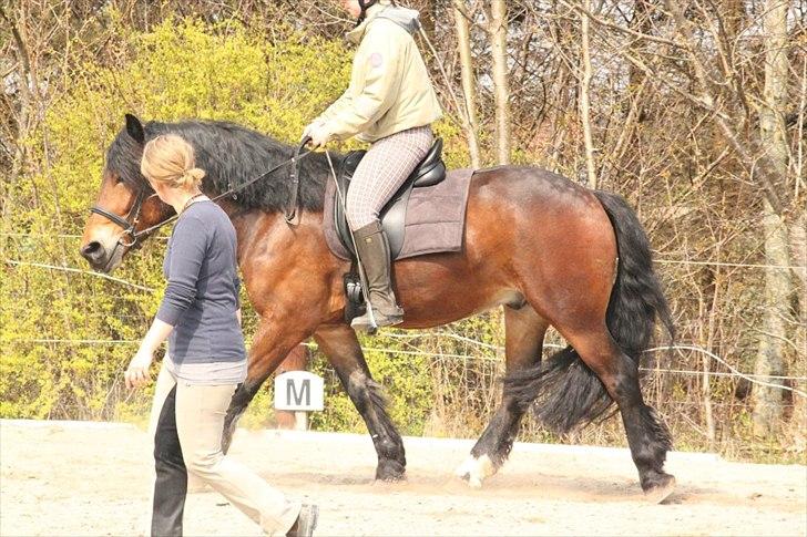 Kursus med BBH instruktør.  billede 9