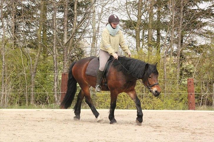 Kursus med BBH instruktør.  billede 10