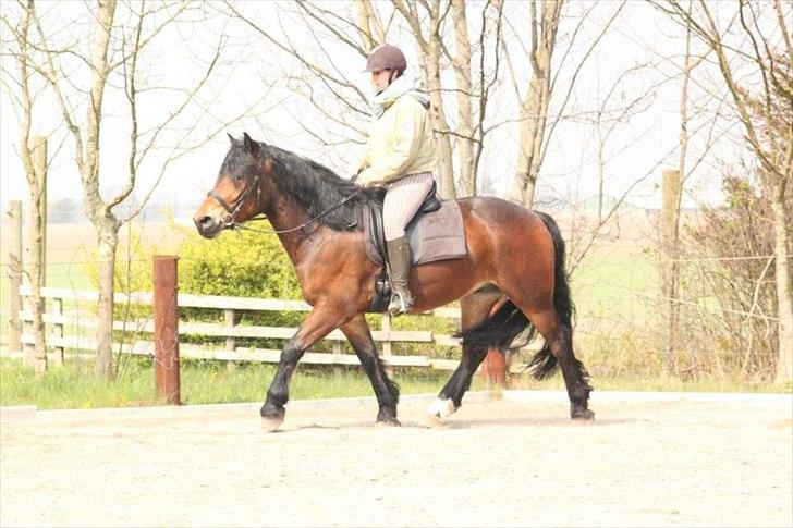 Kursus med BBH instruktør.  billede 11