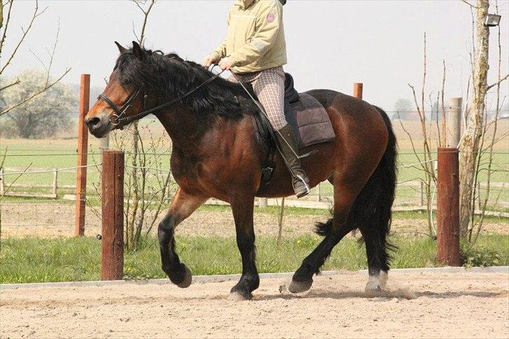 Kursus med BBH instruktør.  billede 12