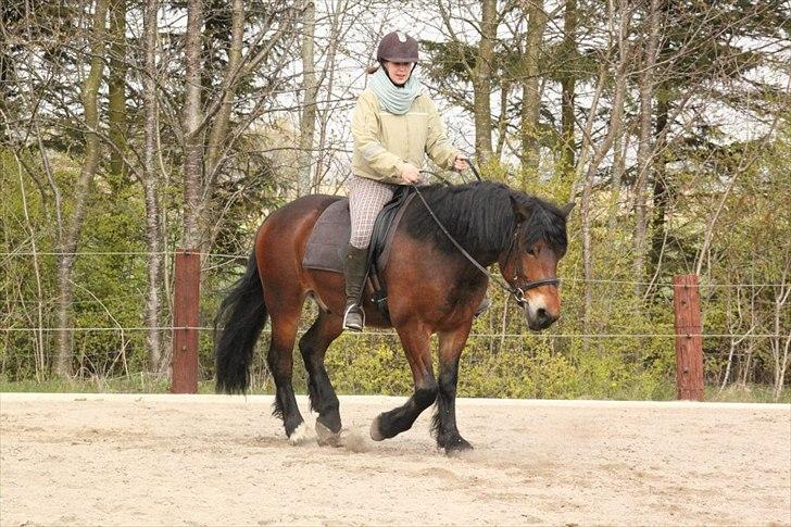 Kursus med BBH instruktør.  billede 13