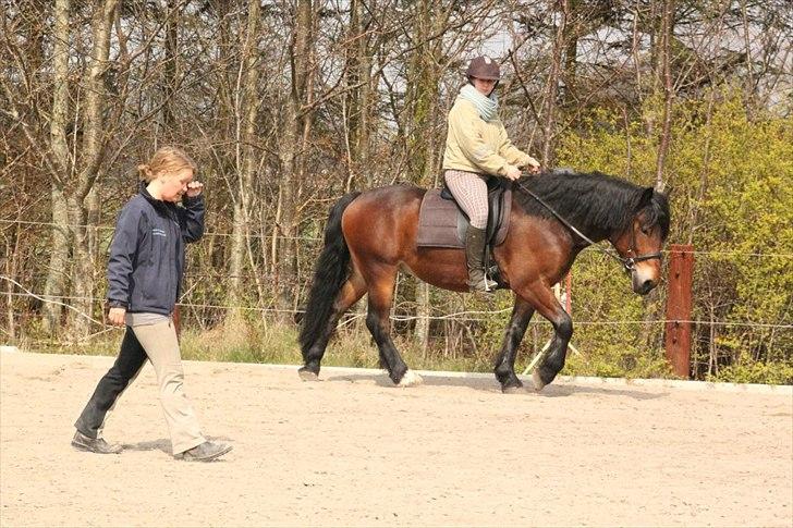 Kursus med BBH instruktør.  billede 14