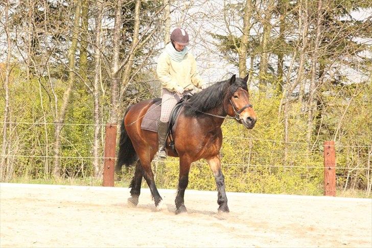 Kursus med BBH instruktør.  billede 15