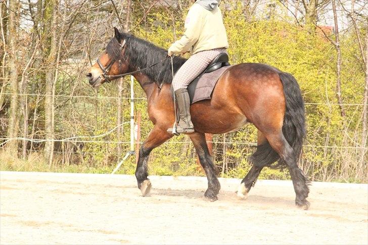Kursus med BBH instruktør.  billede 16
