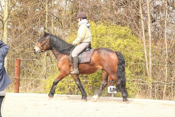 Kursus med BBH instruktør.  billede 17